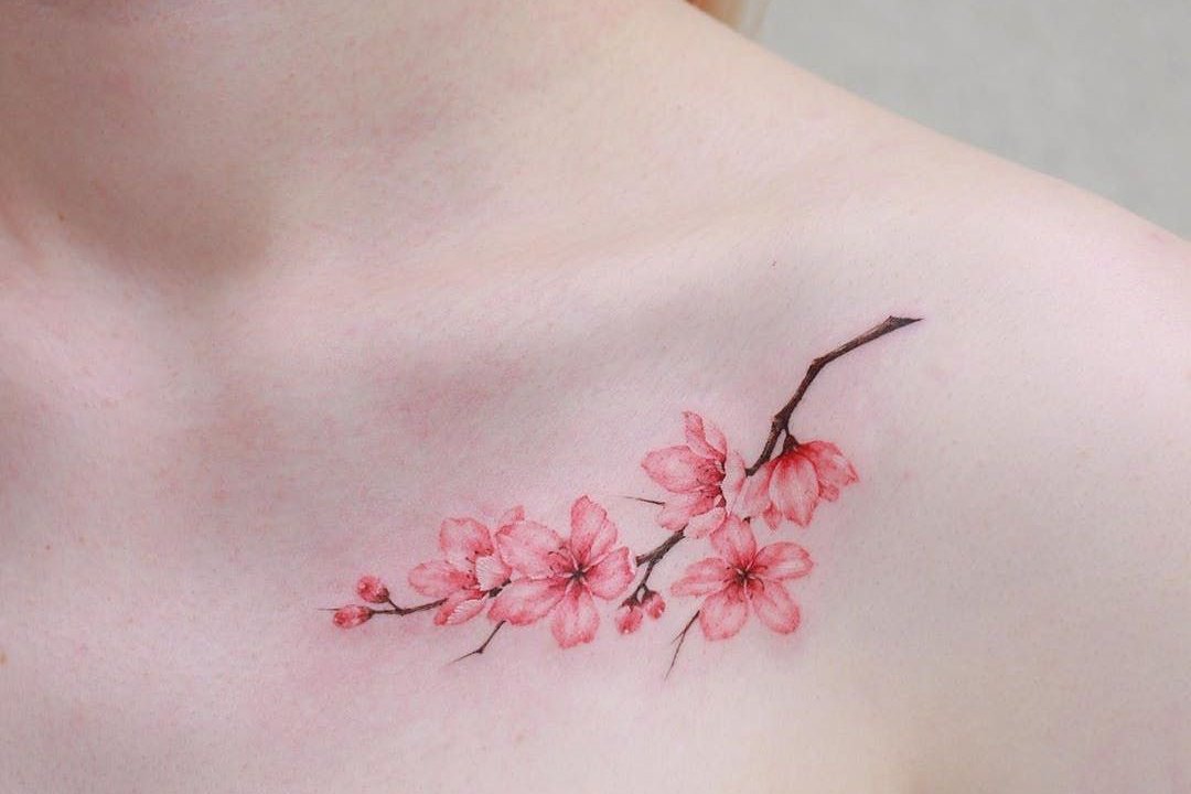 15cba49c65fd3db0.2e16d0ba.fill-1440x960-c100.format-jpeg