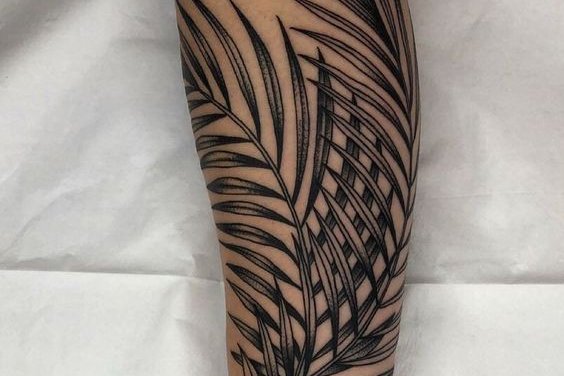 1a79cd64557b73ae7bf6917a85f6185b