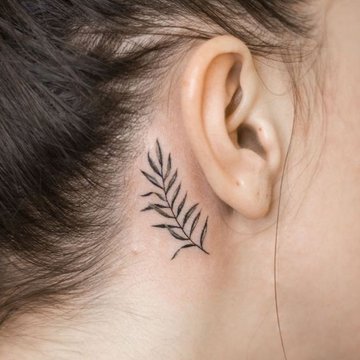 40fb8acd663baf137952dc0d445c0d41