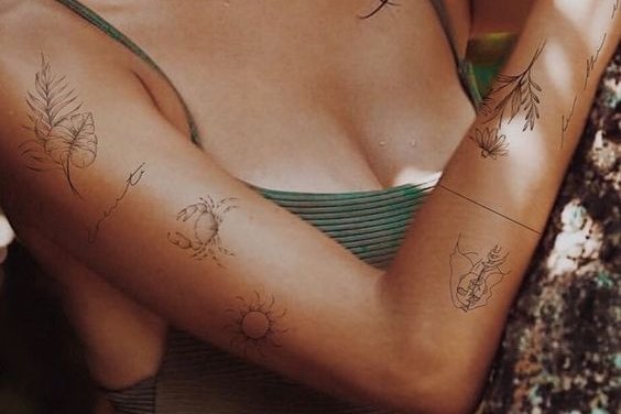 77e4493caab08c5114bc6417d165529b