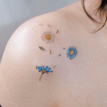 Маргаритка (1)