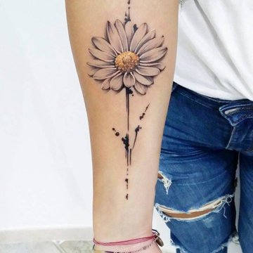 Маргаритка (25)