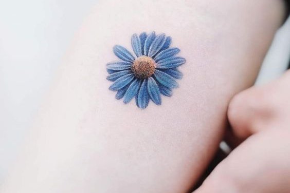 Маргаритка (26)