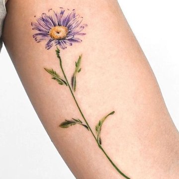 Маргаритка (27)