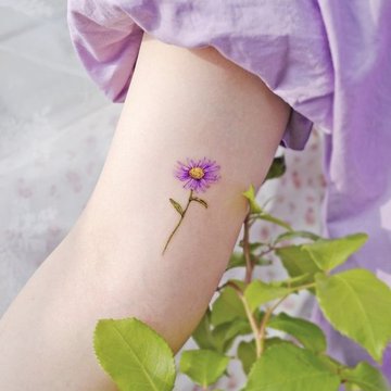 Маргаритка (32)