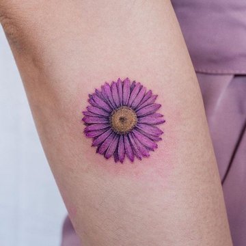 Маргаритка (33)