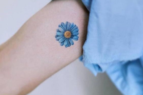 Маргаритка (35)