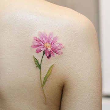 Маргаритка (38)