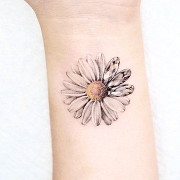 Маргаритка (44)