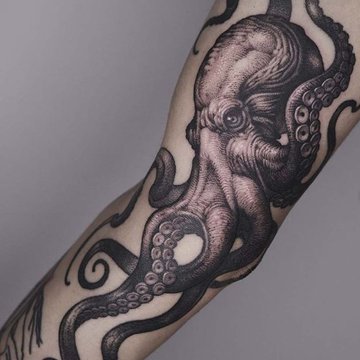 Осьминог (20)