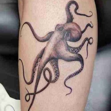 Осьминог (23)