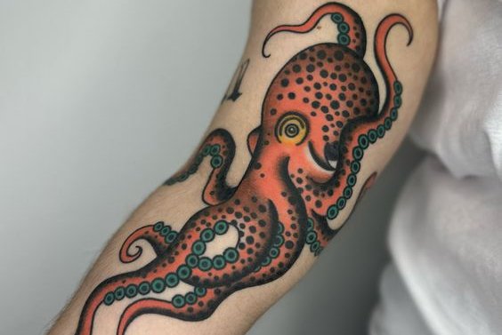 Осьминог (6)