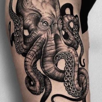 Осьминог (9)