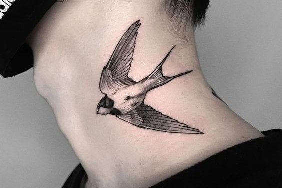 ласточка (14)