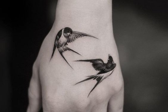 ласточка (22)