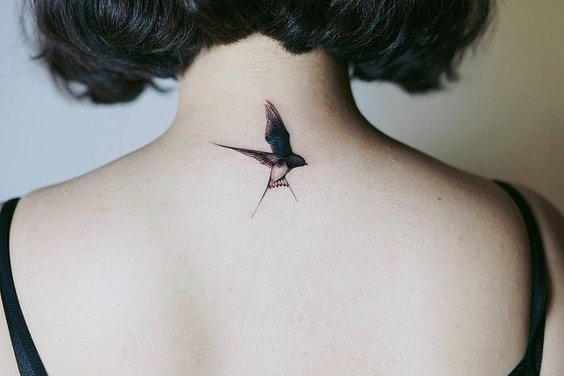 ласточка (26)