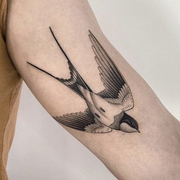 ласточка (30)