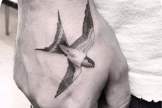 ласточка (32)