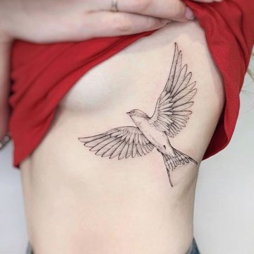 ласточка (40)