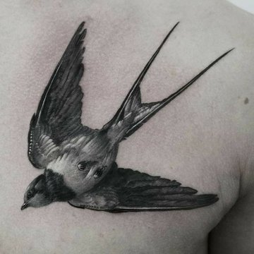 ласточка (49)