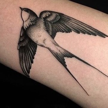 ласточка (6)