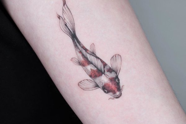 рыба кои (18)