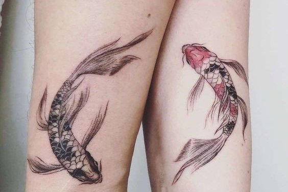 рыба кои (25)