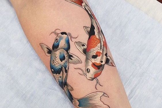 рыба кои (29)