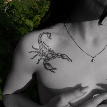 скорпион (18)