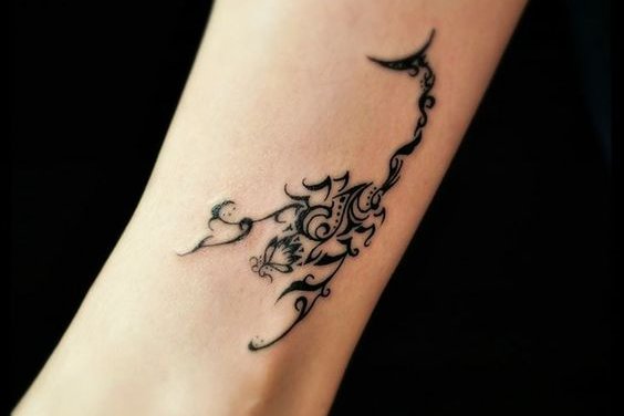 скорпион (22)