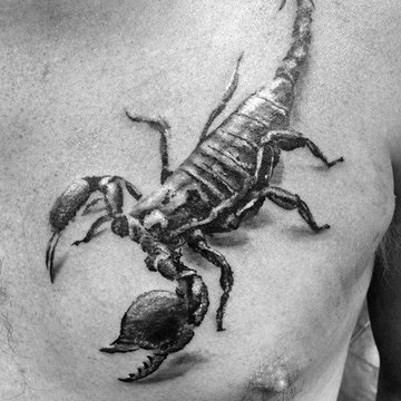 скорпион (26)