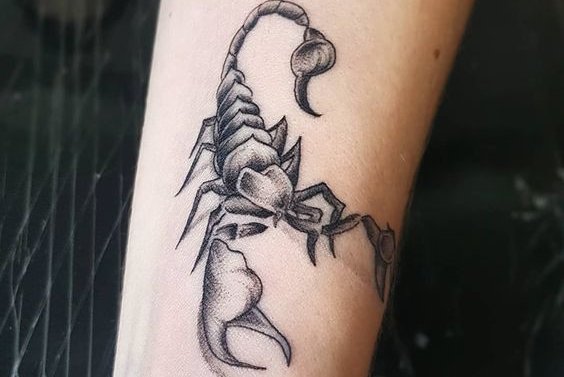 скорпион (34)