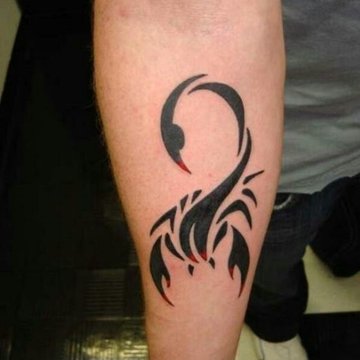 скорпион (41)