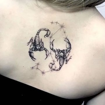 скорпион (48)