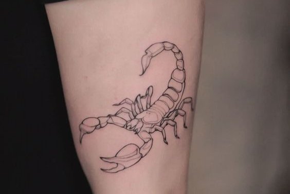 скорпион (55)