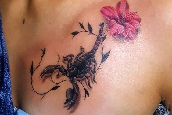 скорпион (57)