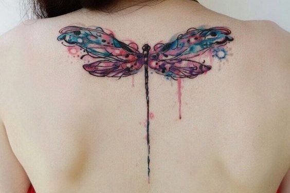 стрекоза (1)