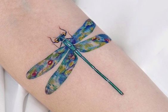 стрекоза (17)