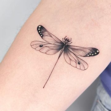 стрекоза (24)