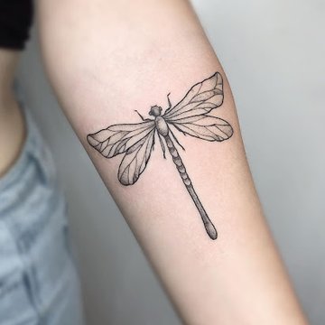 стрекоза (25)