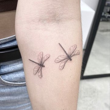 стрекоза (27)