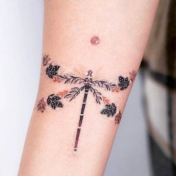 стрекоза (5)