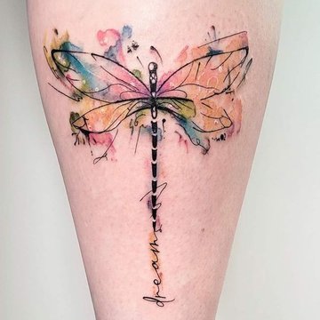 стрекоза (8)