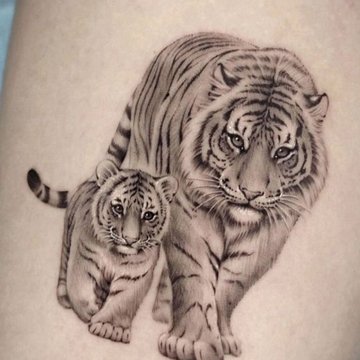 тигр (14)