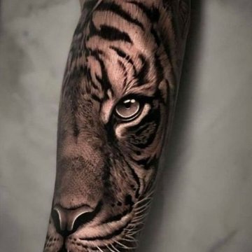 тигр (26)